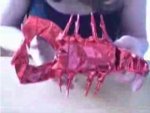 Random-Scorpion.jpg