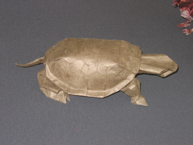 Western Pond Turtle (Robert Lang) Happy Folding