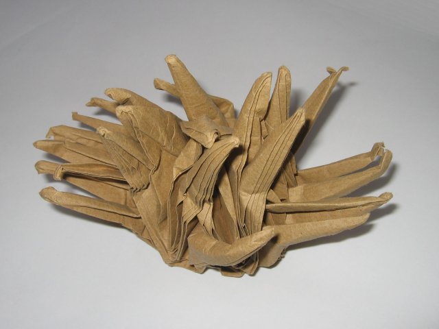 Sea Life Origami - Amazing Incredible!