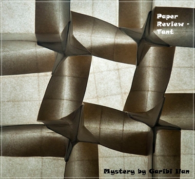 Mystery Tessellation by Ilan Garibi
